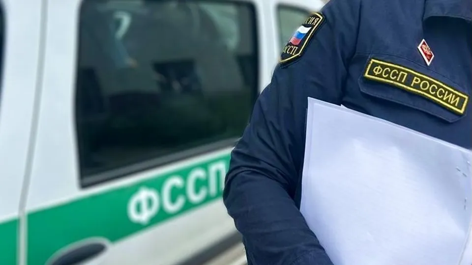 Фото: пресс-служба ГУФССП России по Московской области