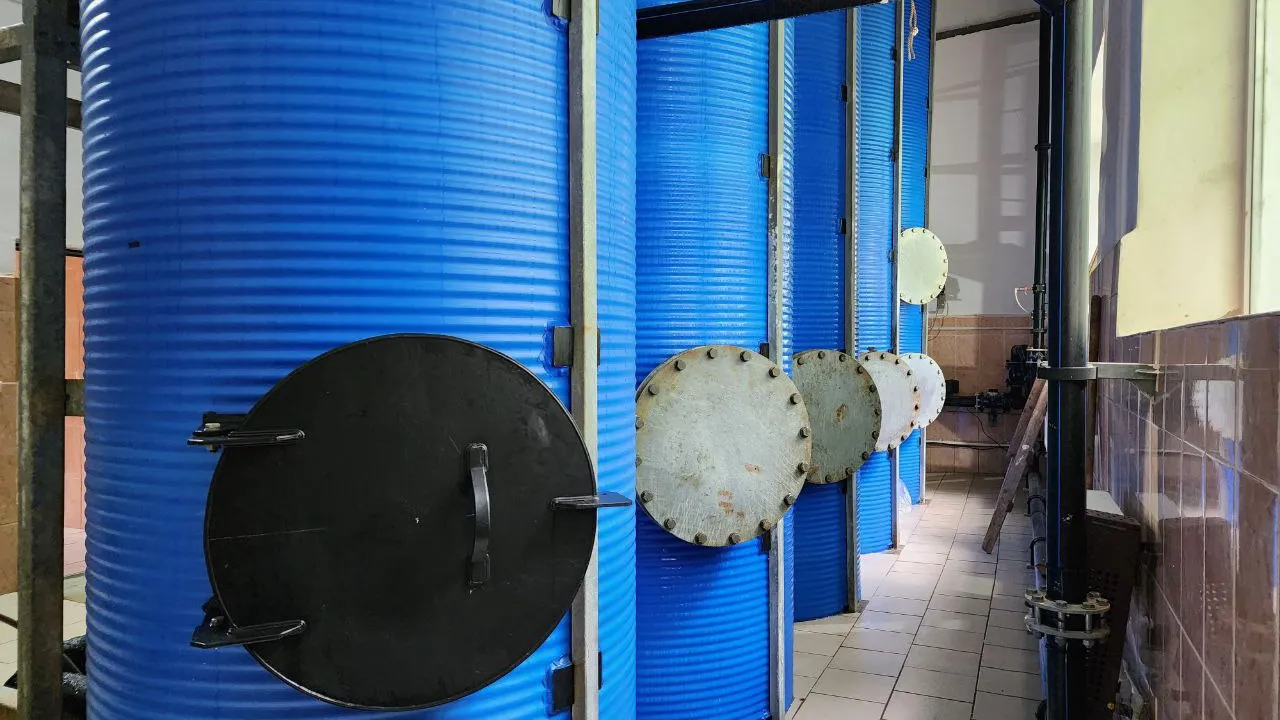 Фото: МедиаБанк Подмосковья/Валерия Тингаева