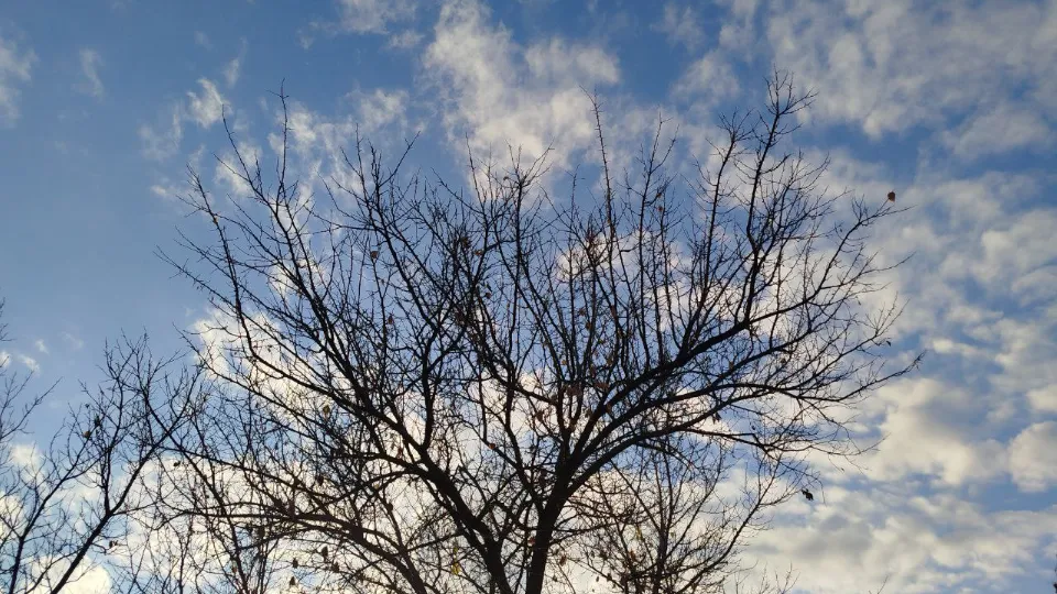 Фото: REGIONS/Юлия Куделькина