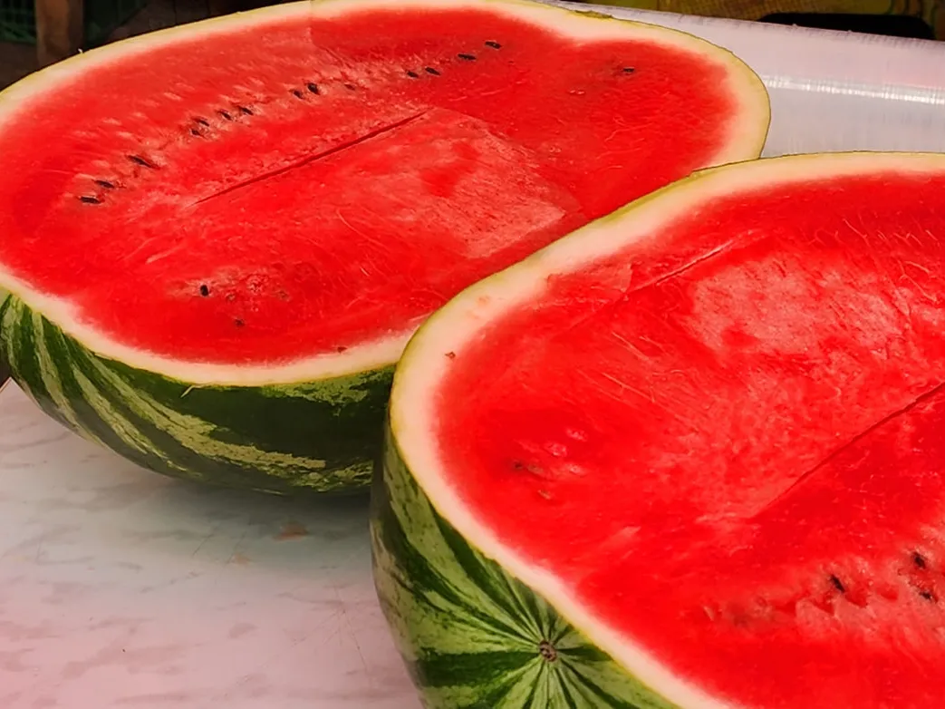 Фото: МедиаБанк Подмосковья/Анна Мороз