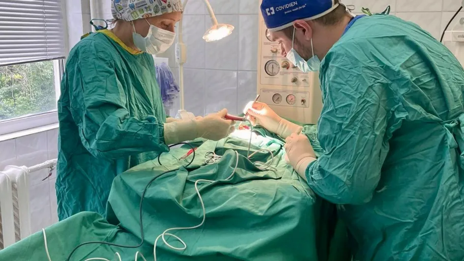 Фото: МОЦОМД