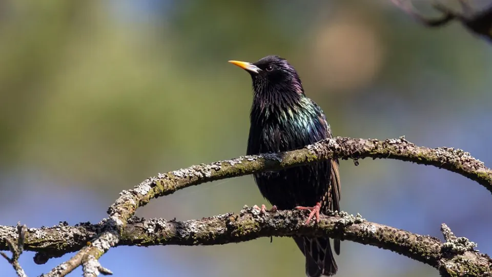 Фото: Антон Кондратюк