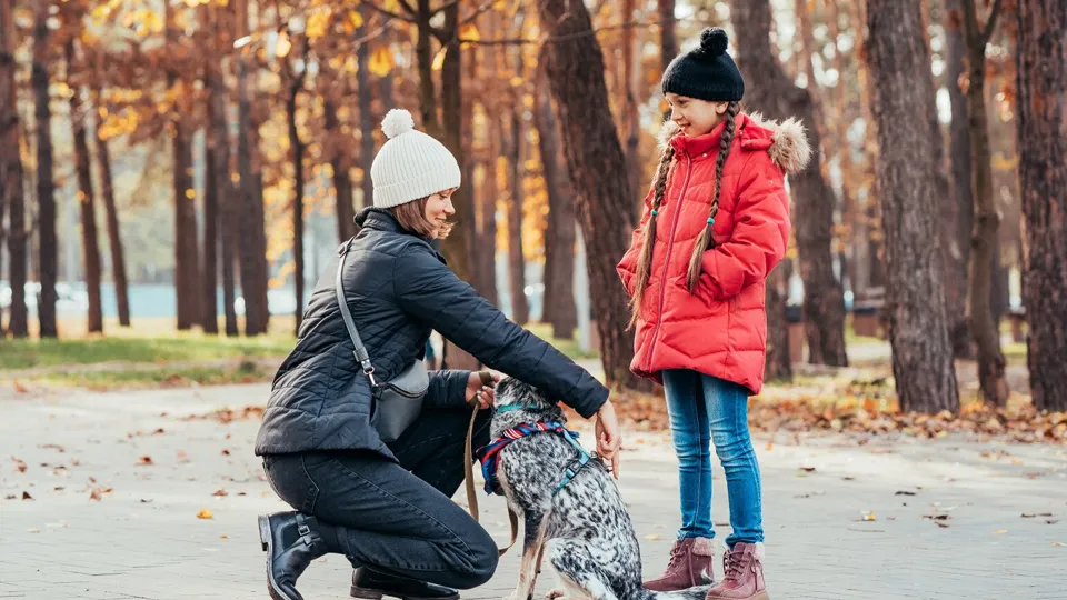 Фото: freepik.com