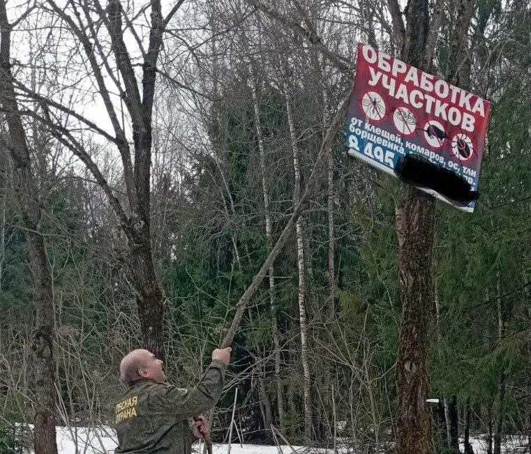 Фото: Комитет лесного хозяйства Московской области