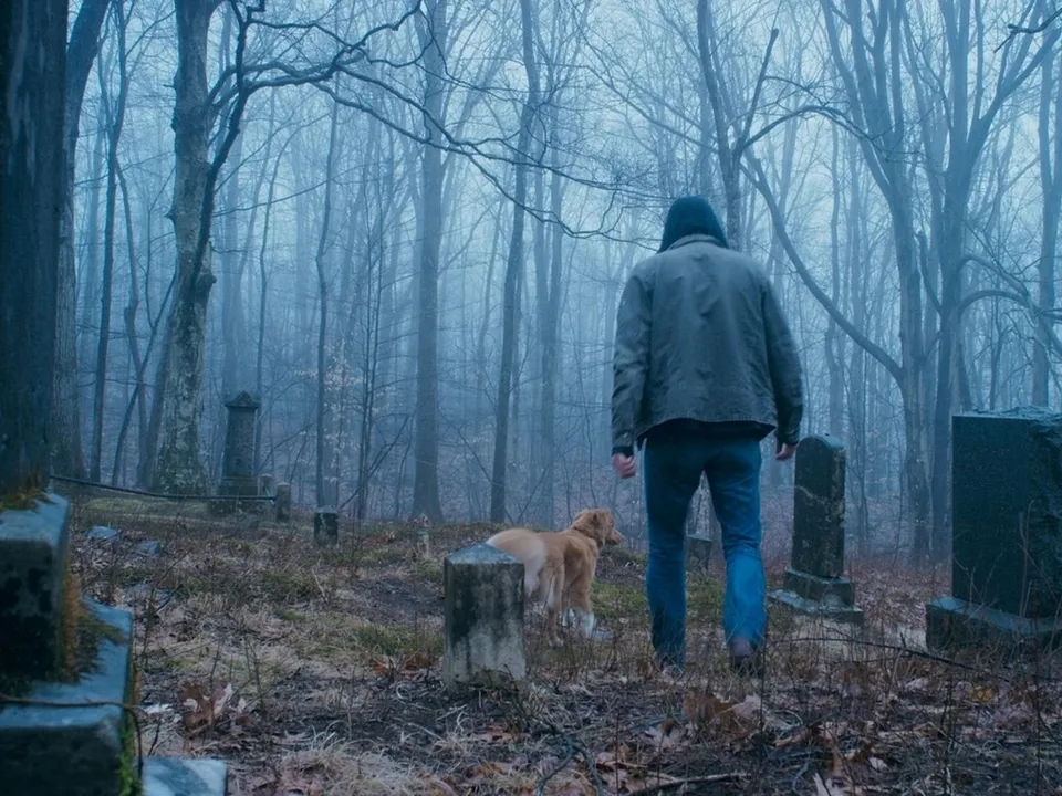 Кадр из фильма «Глазами пса». Режиссер Бен Леонберг. 2025 год