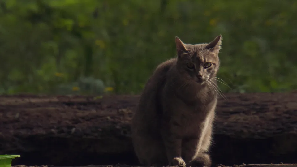 Фото: REGIONS/Наталия Надточая