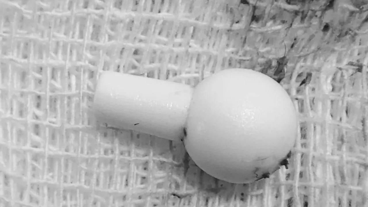 Фото: Пресс-служба Ступинской ОКБ