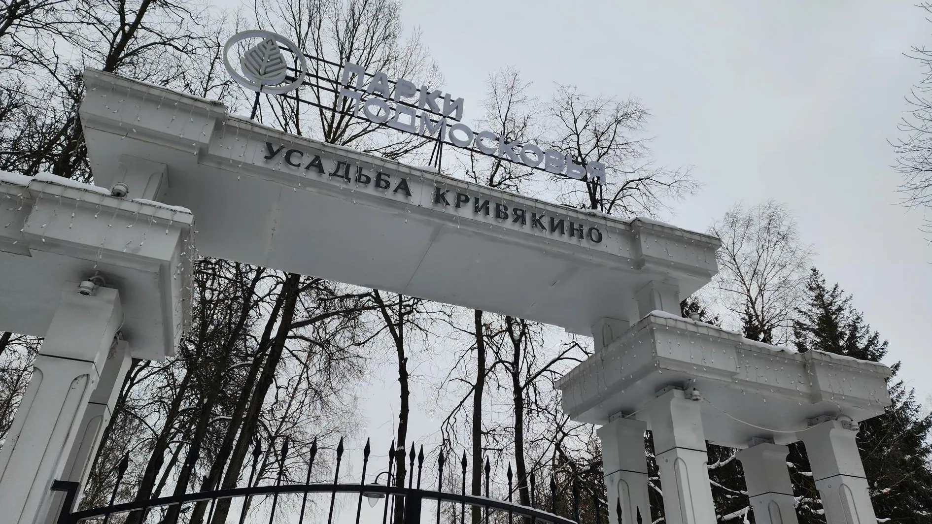 Фото: Светлана Плотникова