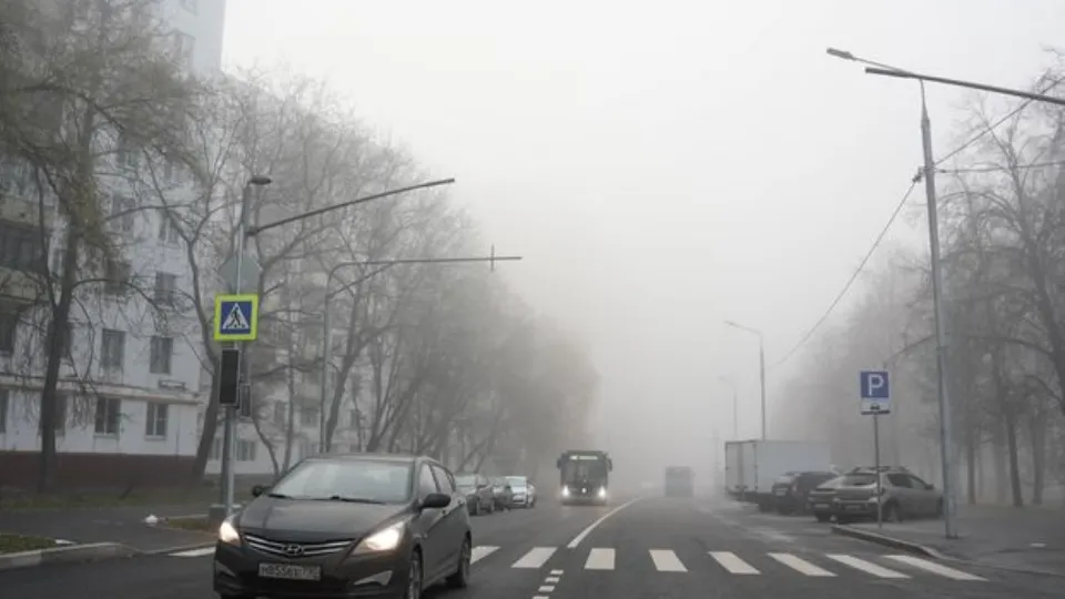 Фото: Медиасток.рф