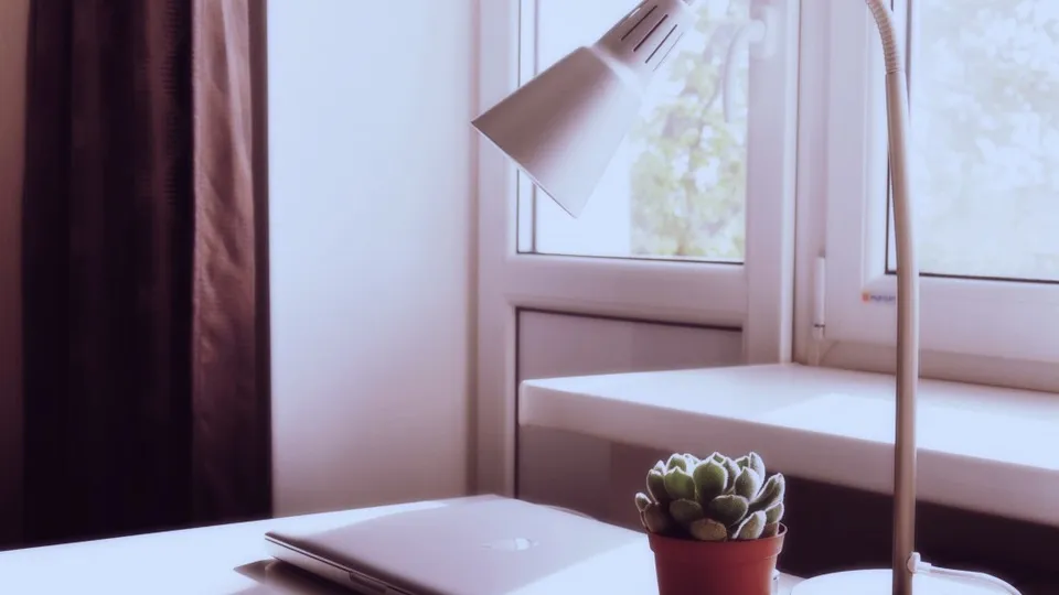 Фото: pxhere.com