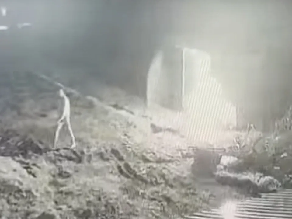 Фото: соцсети