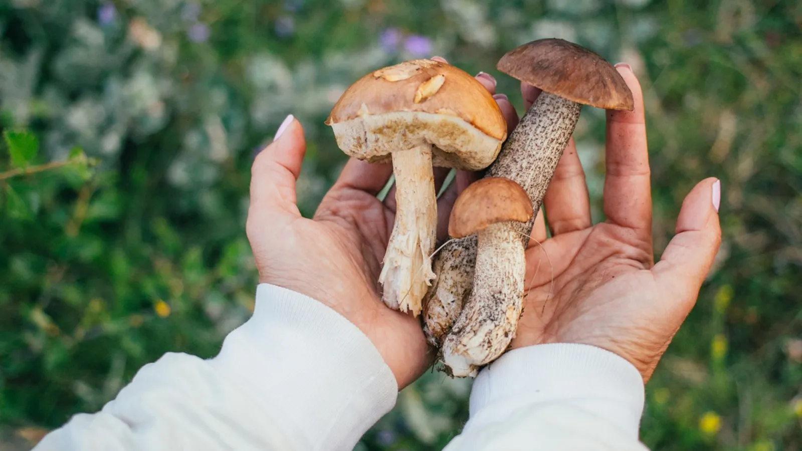 Фото: freepik.com