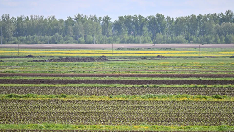 Фото: пресс-служба Мособлдумы