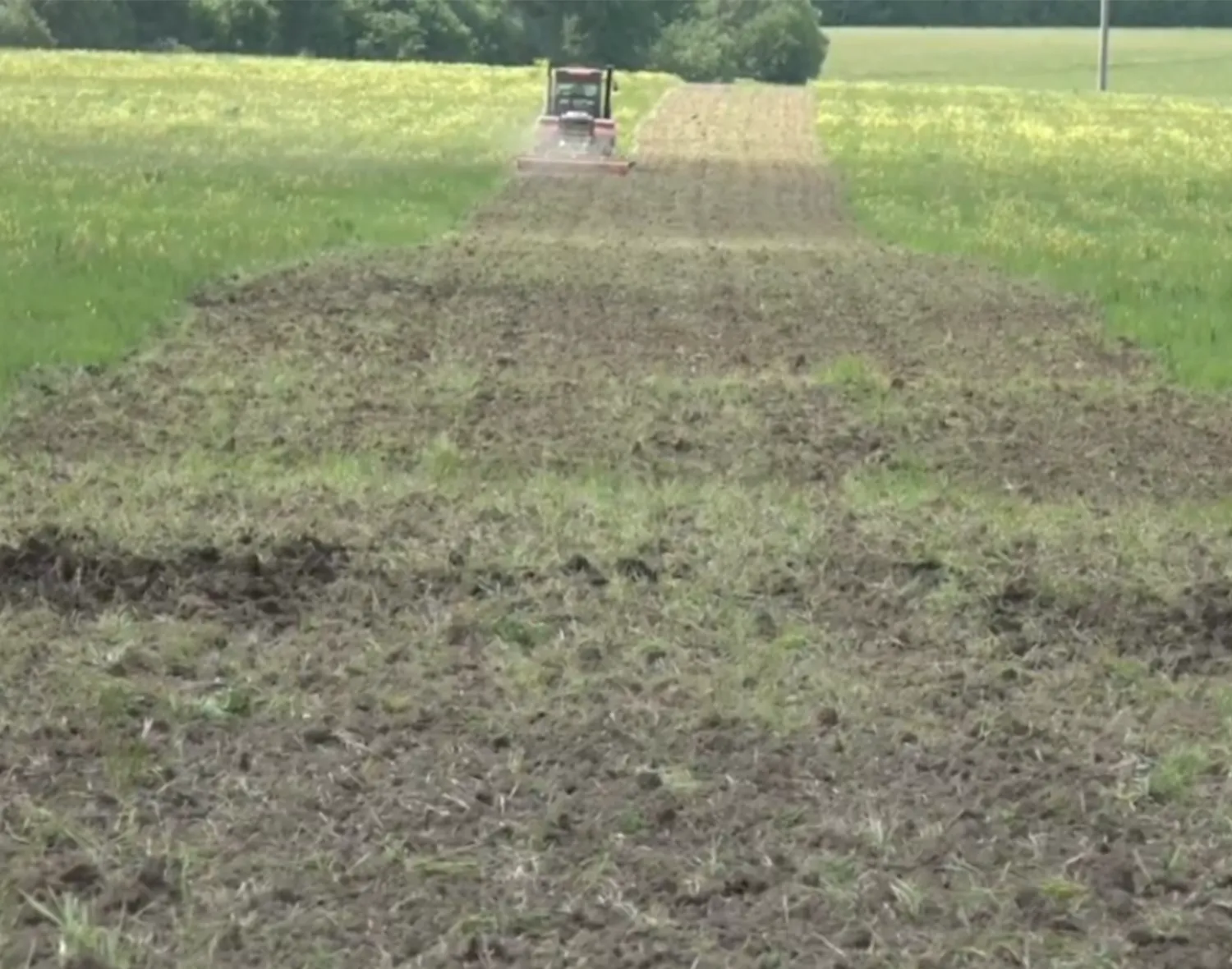 Фото: пресс-служба администрации м.о. Зарайск