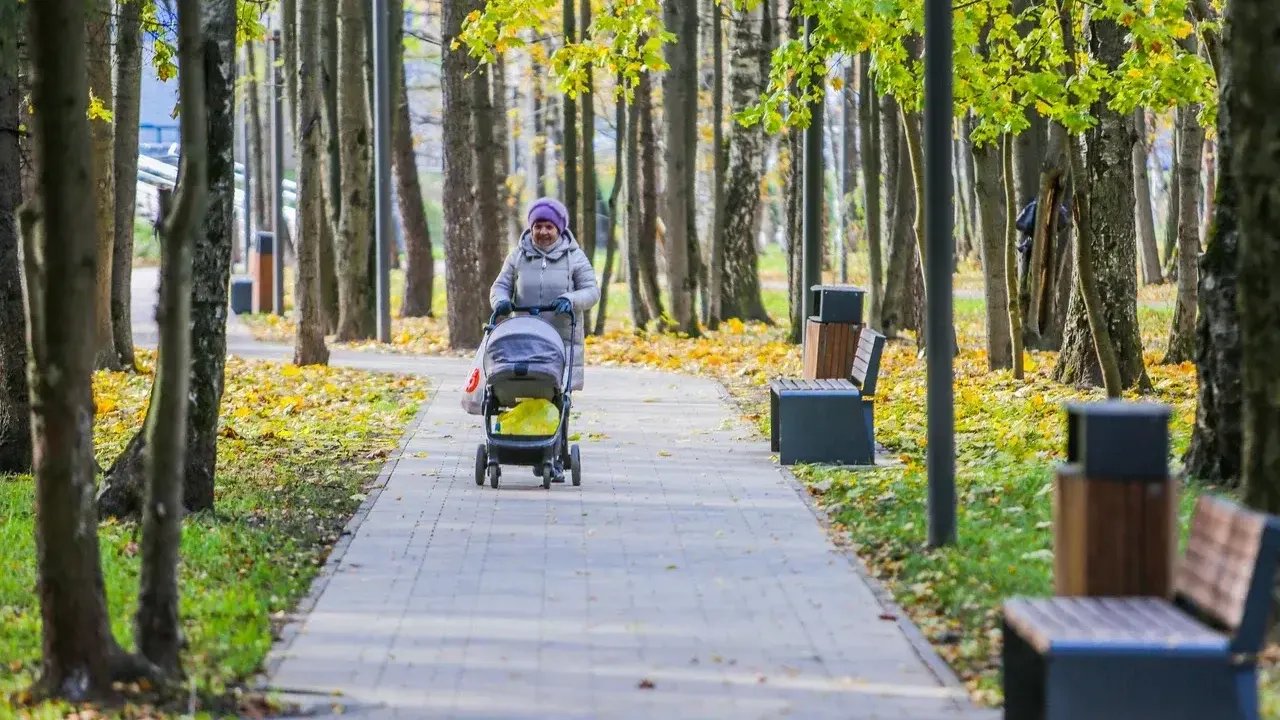 Министерство благоустройства Московской области