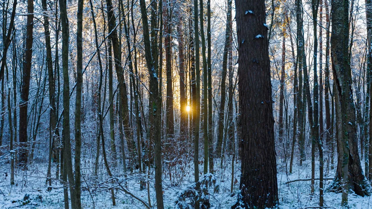 медиасток.рф