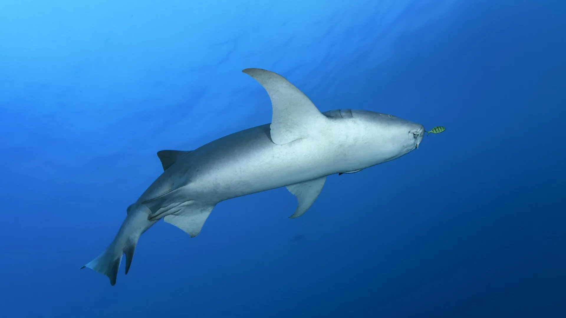 Norbert Probst/http://imagebroker.com/#/search