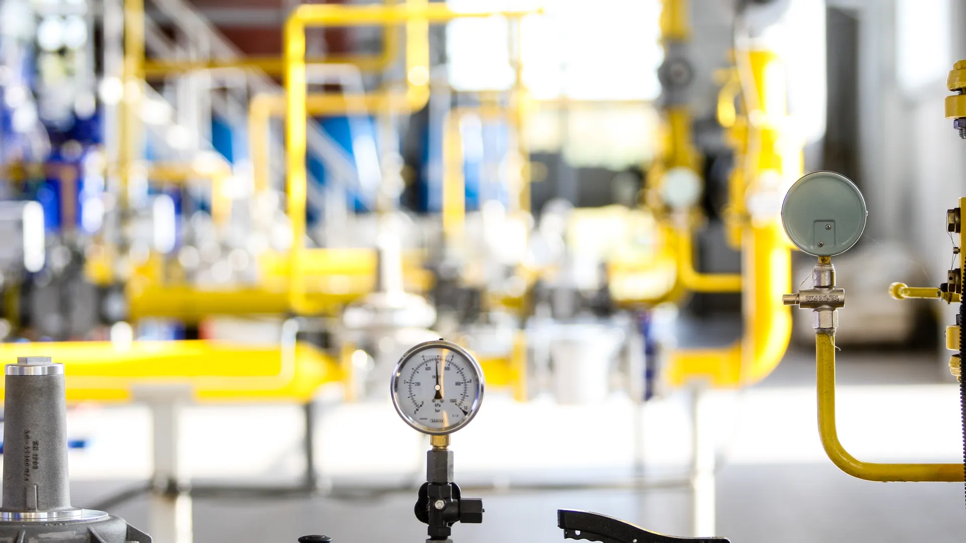 Фото: пресс-служба администрации г.о. Кашира