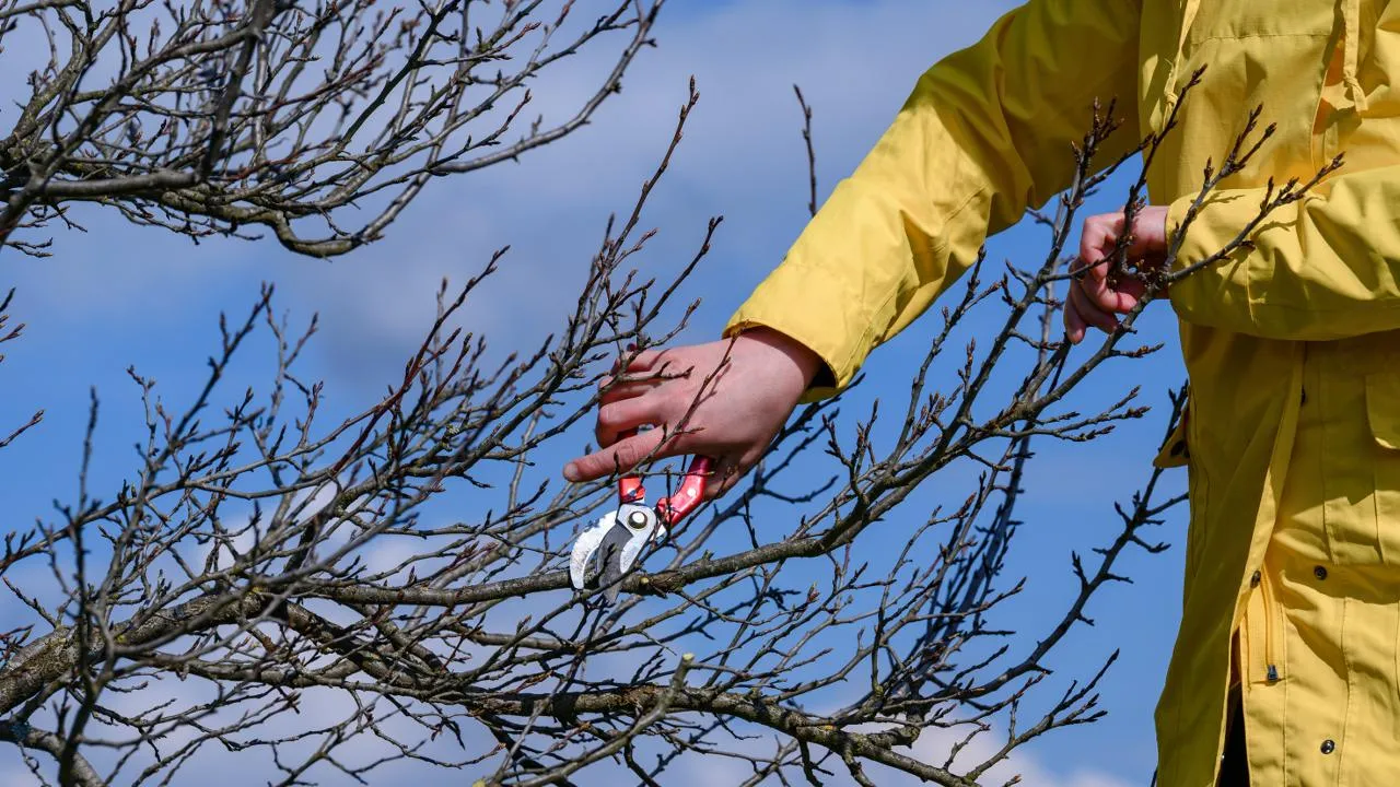 istockphoto.com/Niko_Cingaryuk