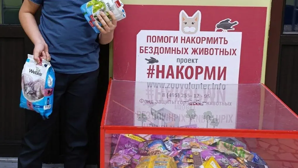Пресс-служба администрации городского округа Лобня
