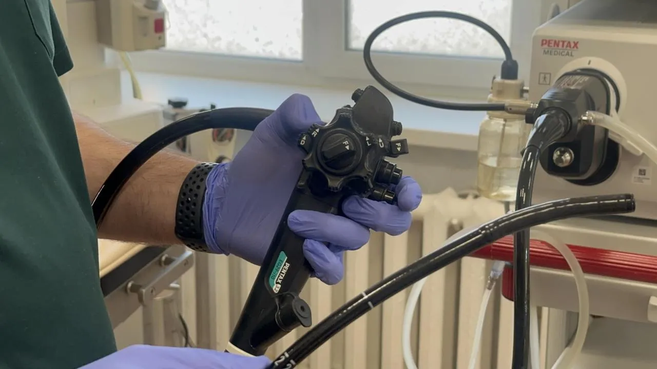 REGIONS/Мария Шигорева