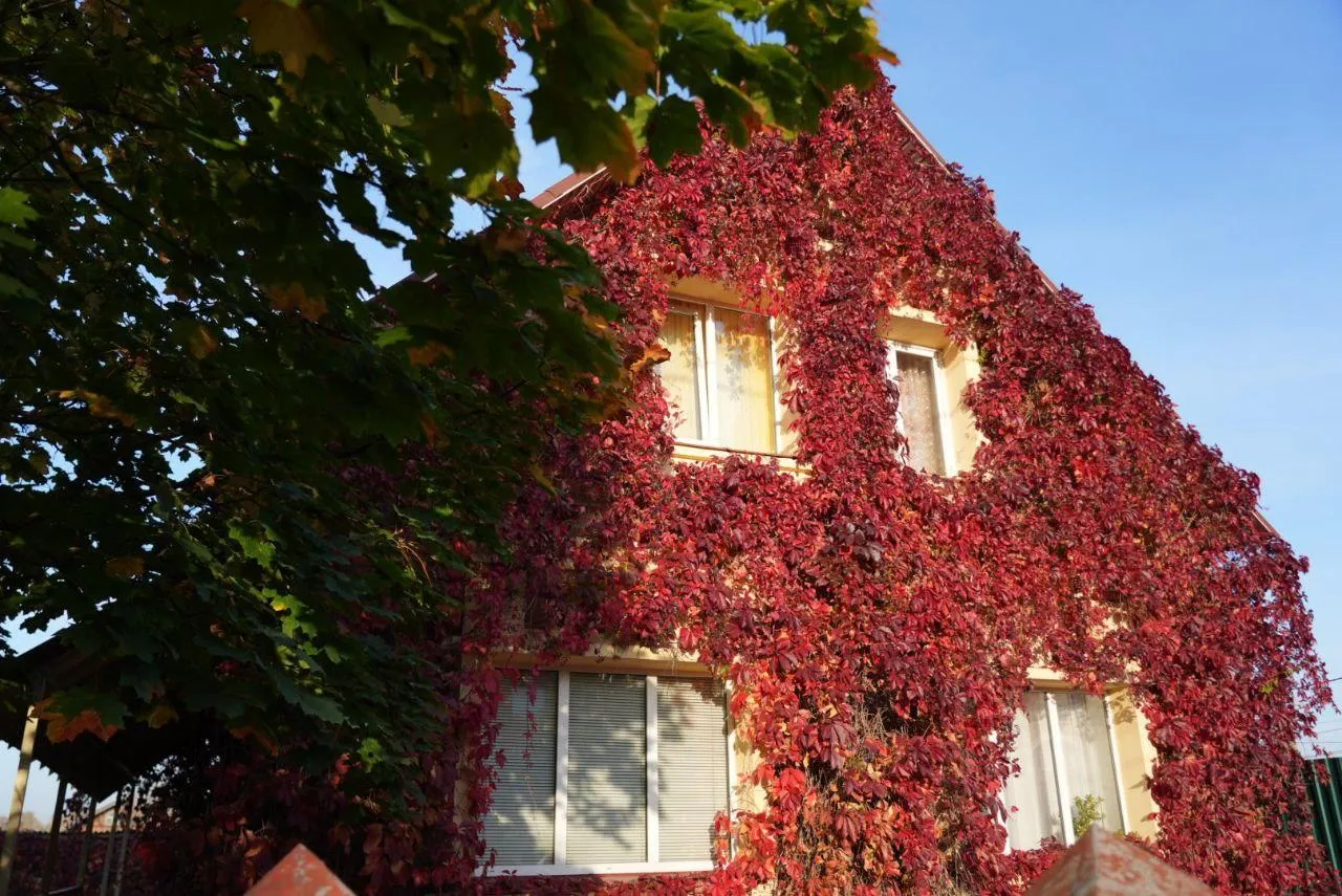 Дмитрий Зайчиков