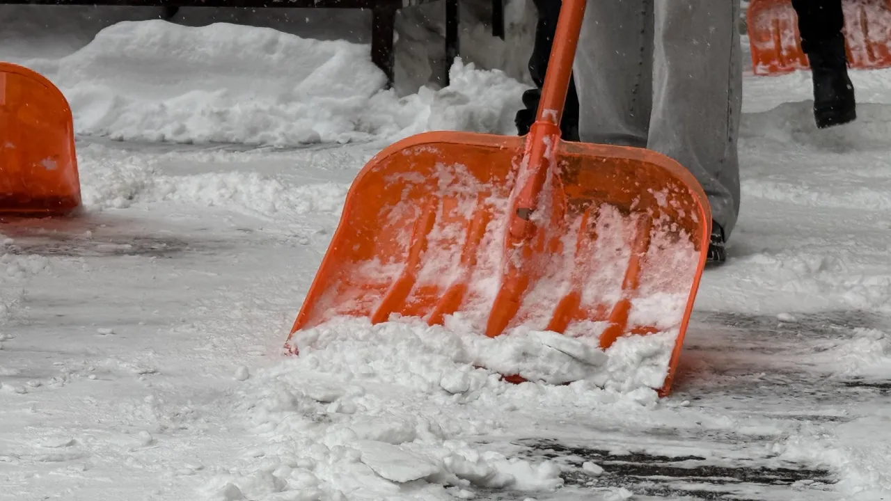 МедиаБанк Подмосковья/Анна Дука