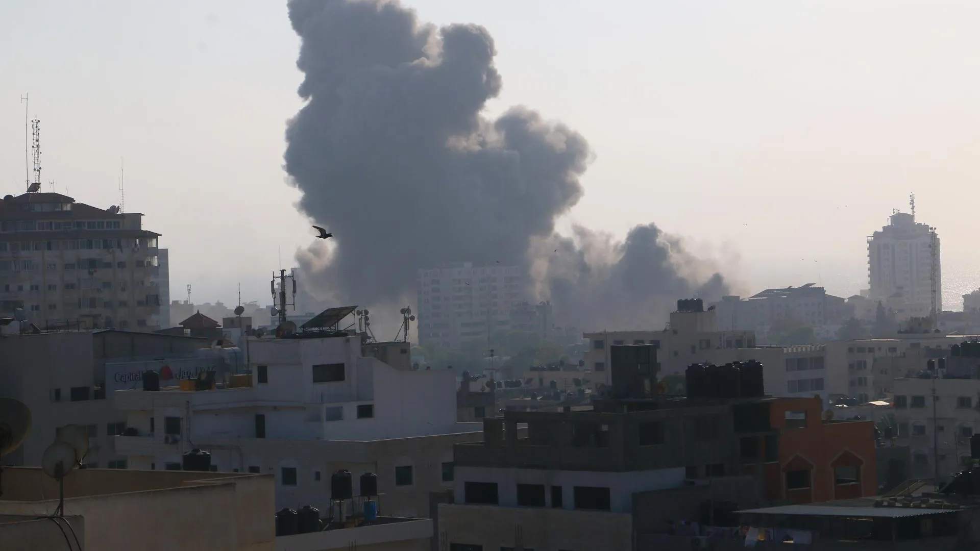 Ahmad Hasaballah/ZUMAPRESS.com