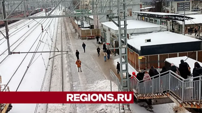 Фото: Елена Григорьева