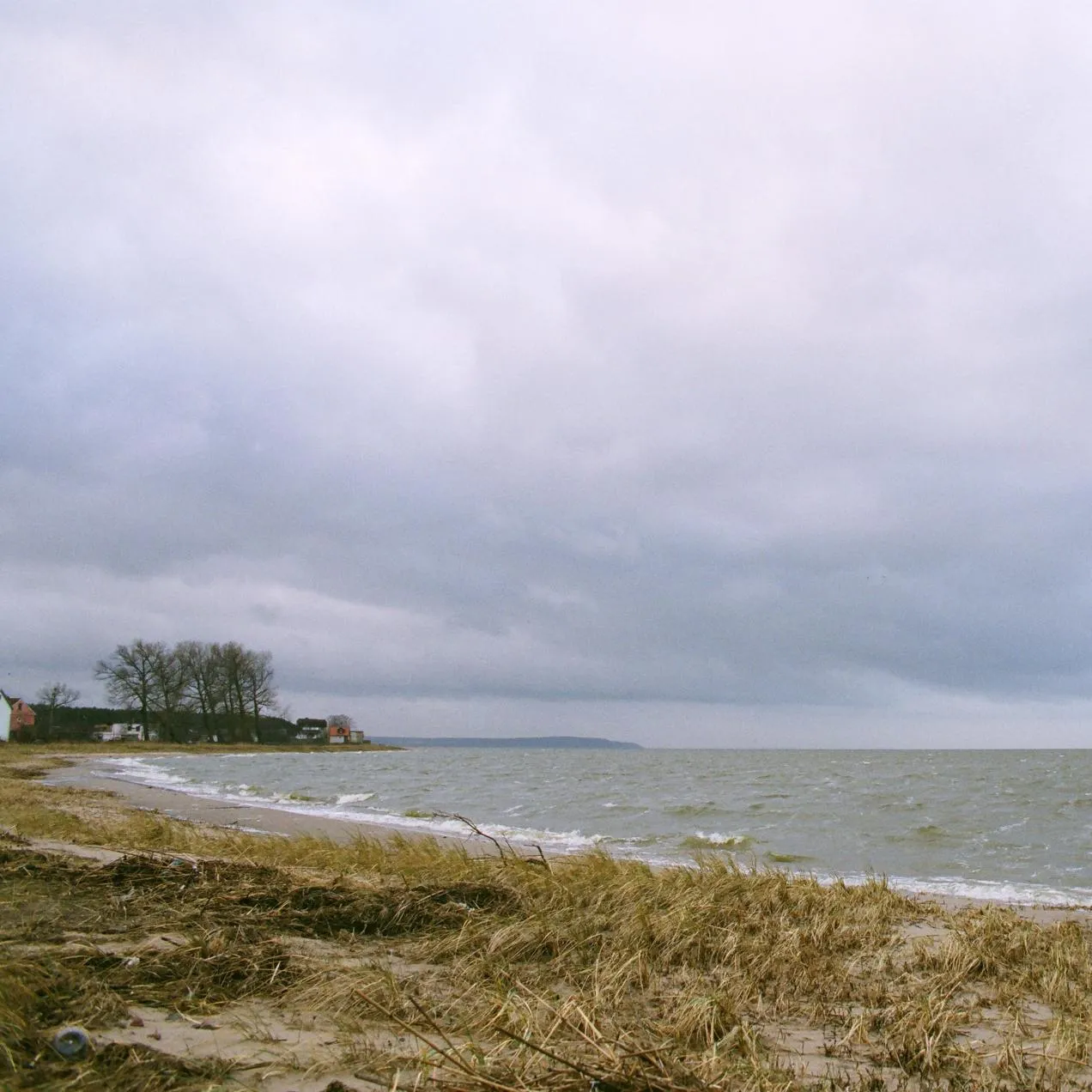 Nikolay Voskresenskii/Russian Look