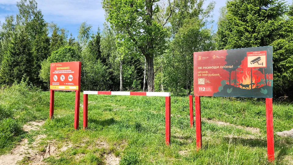 Фото: Мария Андрюхина