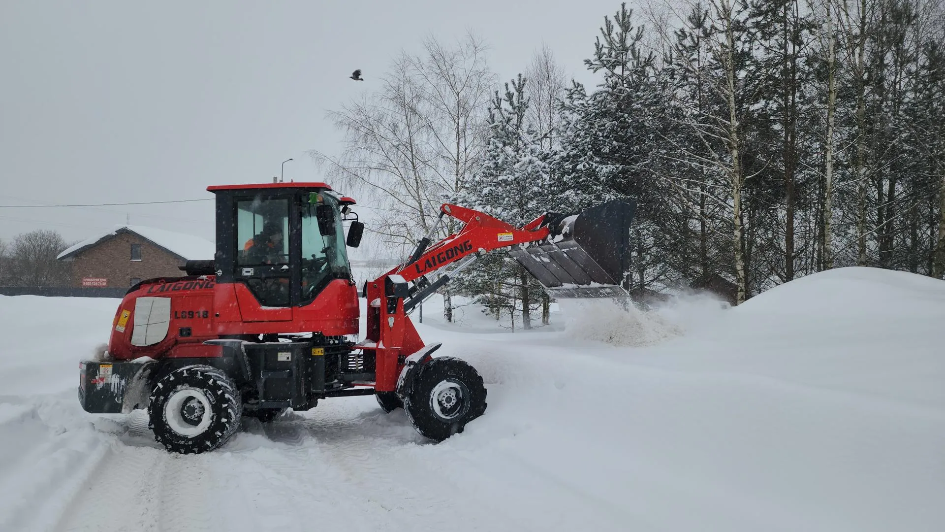 Андрей Алекин