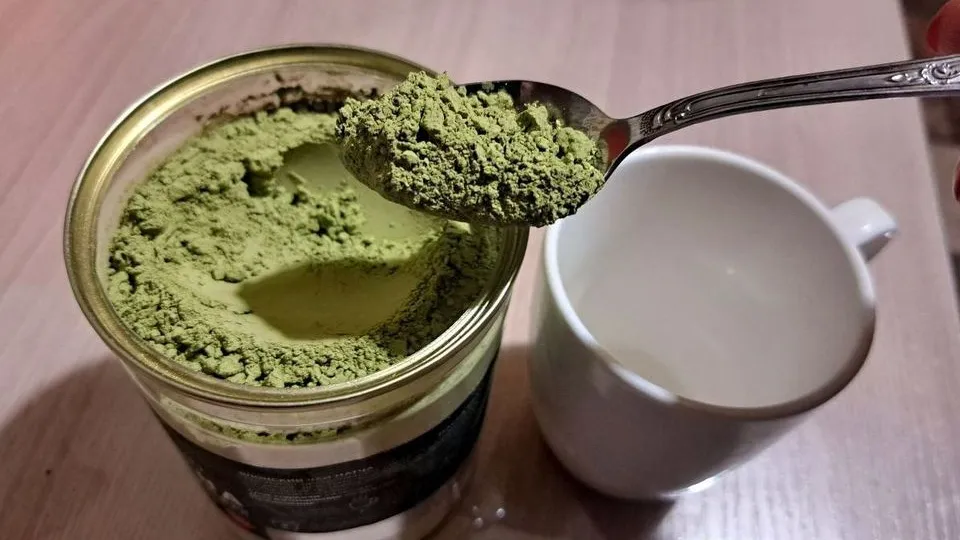 Фото: REGIONS/Татьяна Замятина