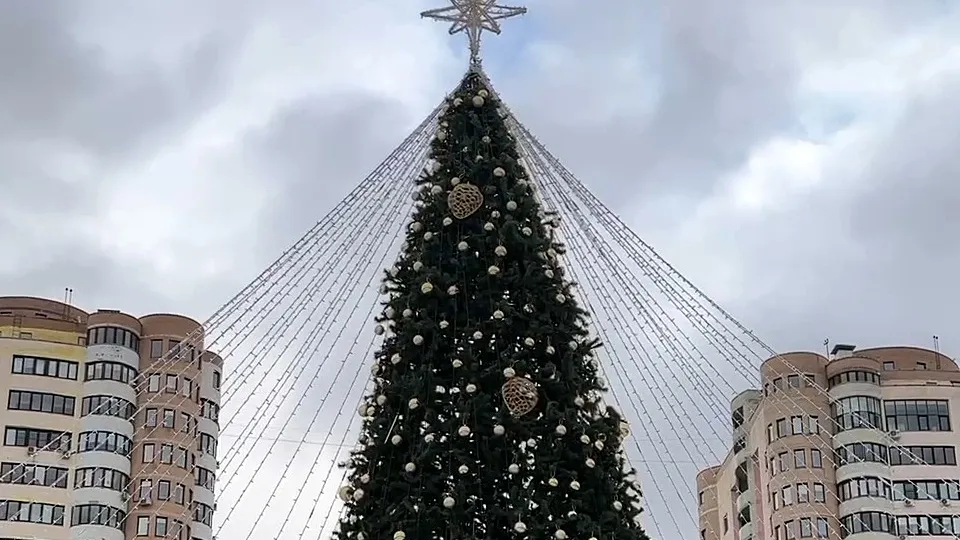 Фото: Ксения Казакова