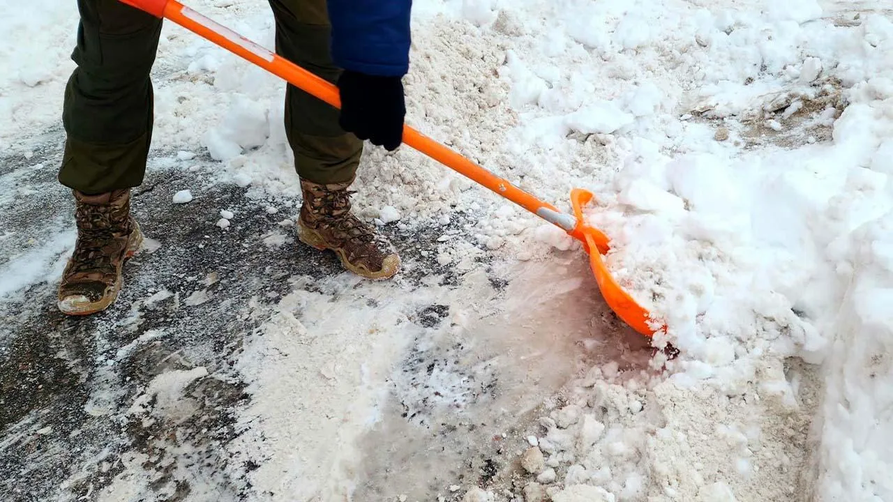 МедиаБанк Подмосковья/Юлия Унрау