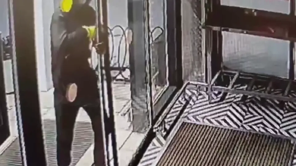 Фото: ГУ МВД по Московской области