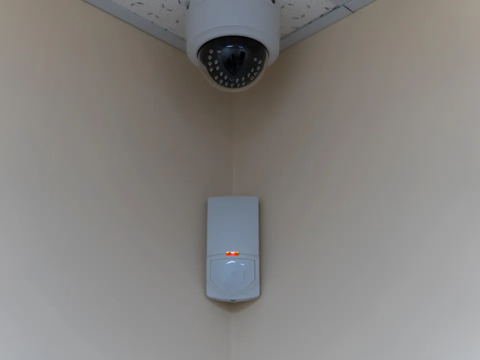 Фото: istockphoto.com/OLEKSANDR KOZACHOK