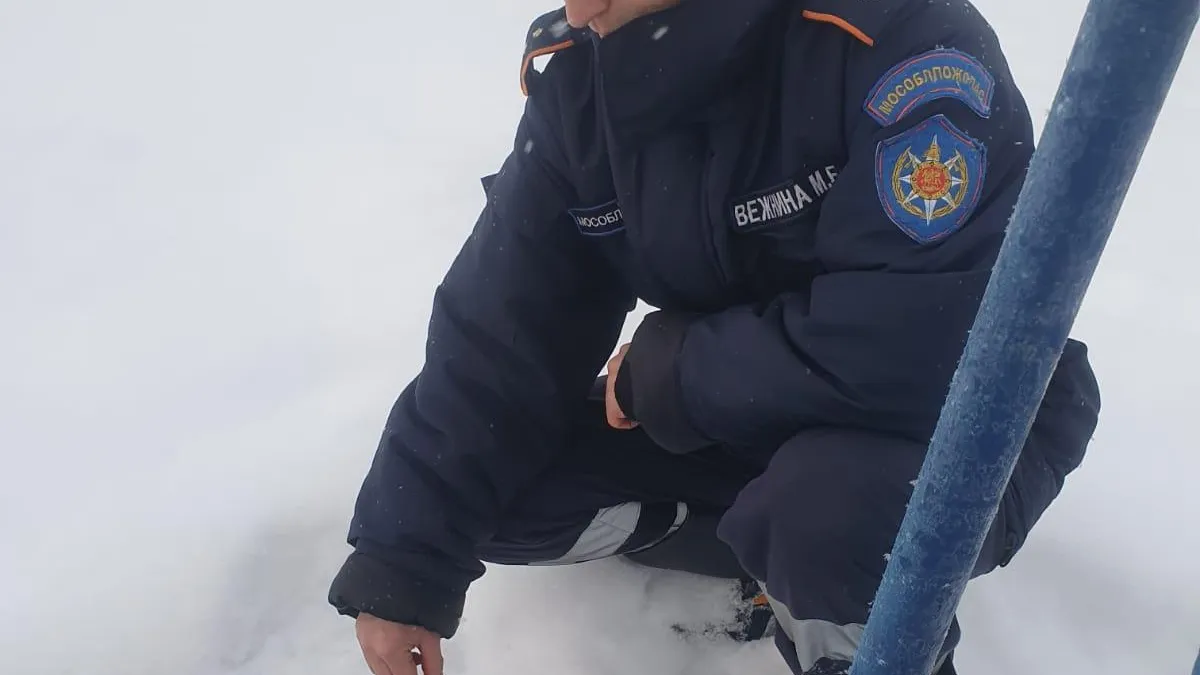 Фото: ГКУ МО «Мособлпожспас»