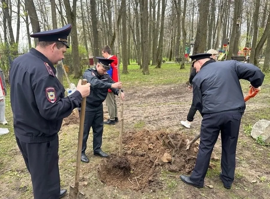 Фото: ОМВД России по г.о. Лотошино