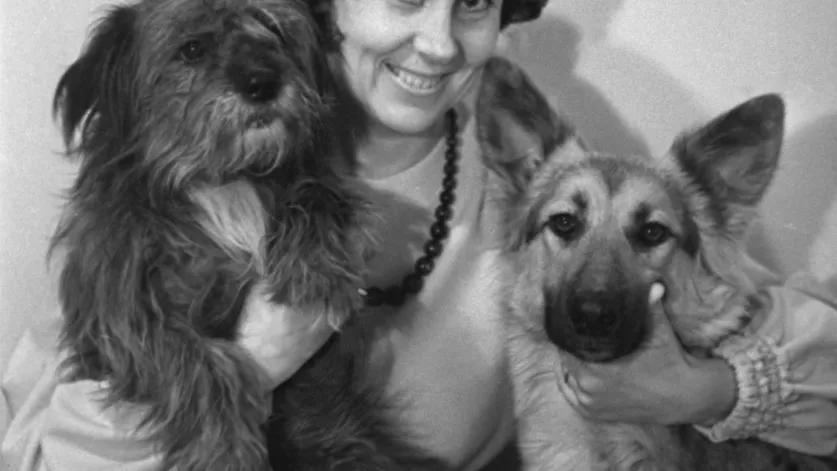 РИА Новости/В.Пухма