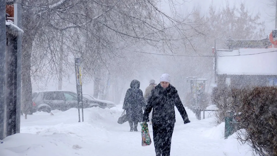 Фото: медиасток.рф