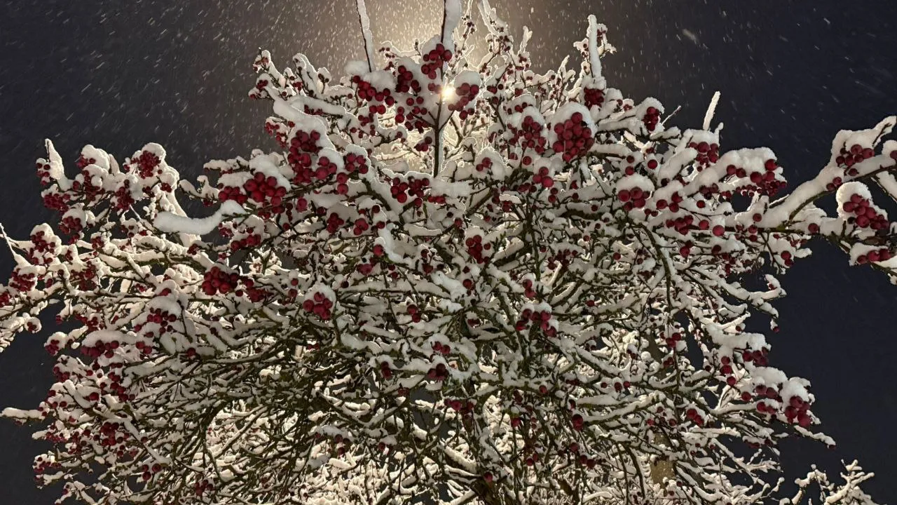 Фото: Марина Алифанова