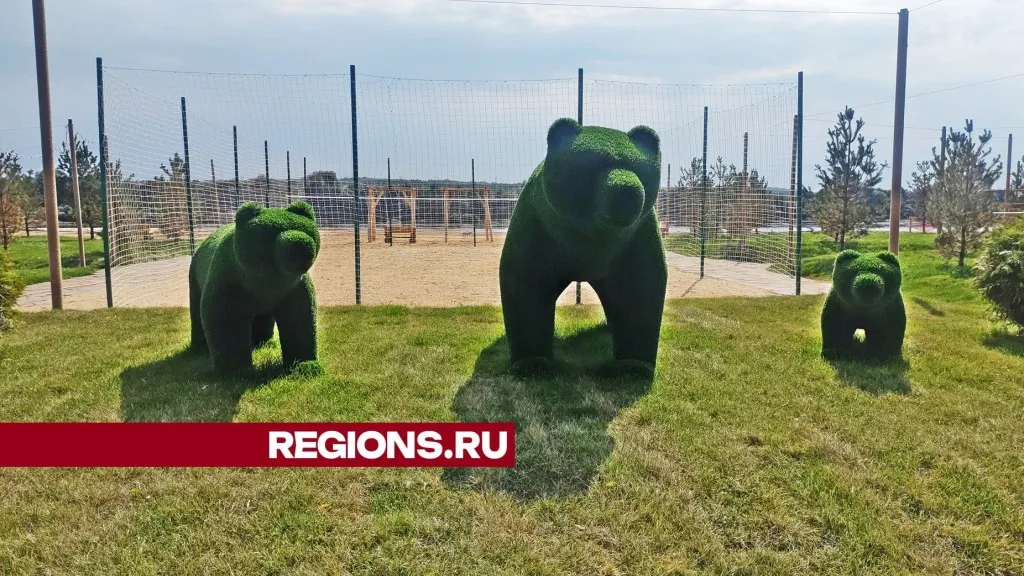 Фото: REGIONS/Алексей Селиверстов