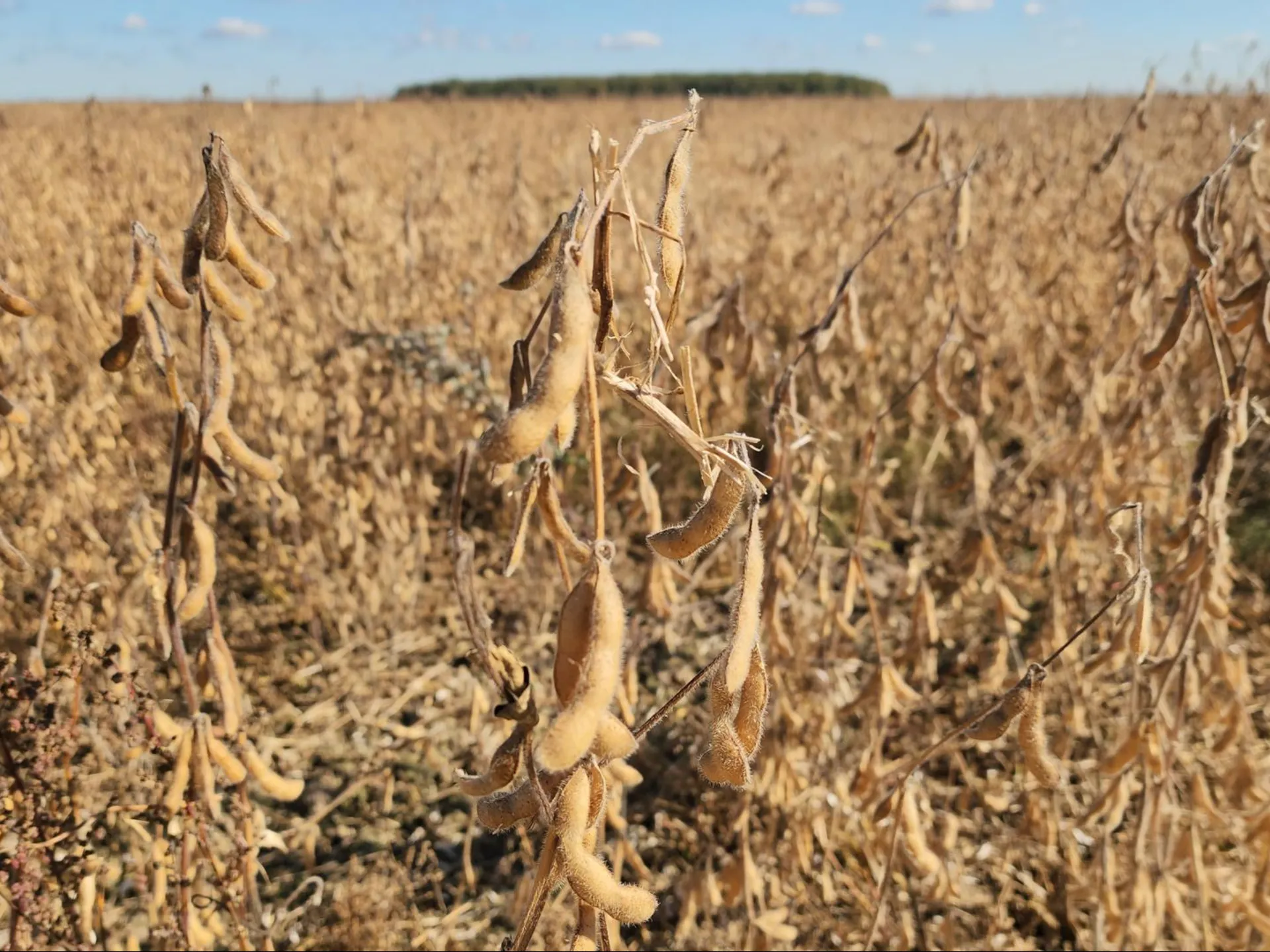 Фото: Медиабанк Подмосковья/Юлия Скавронова
