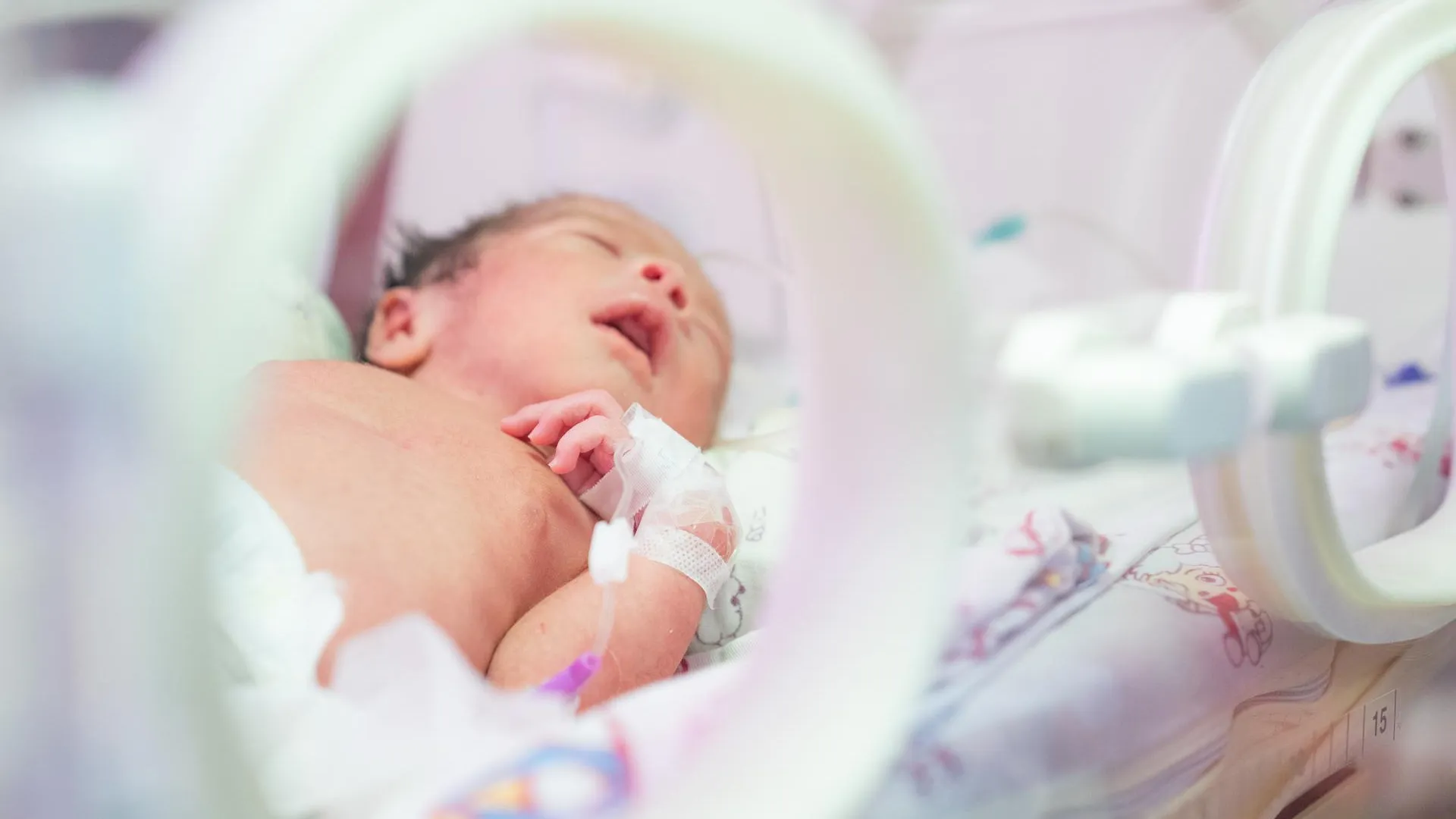 Tenzin Nyida/XinHua/Global Look Press