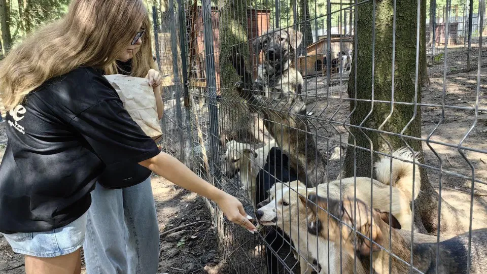 Фото: Движение первых Фрязино