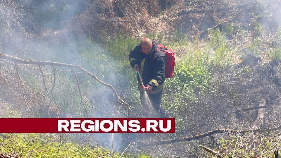 Фото: Александр Дрожжин