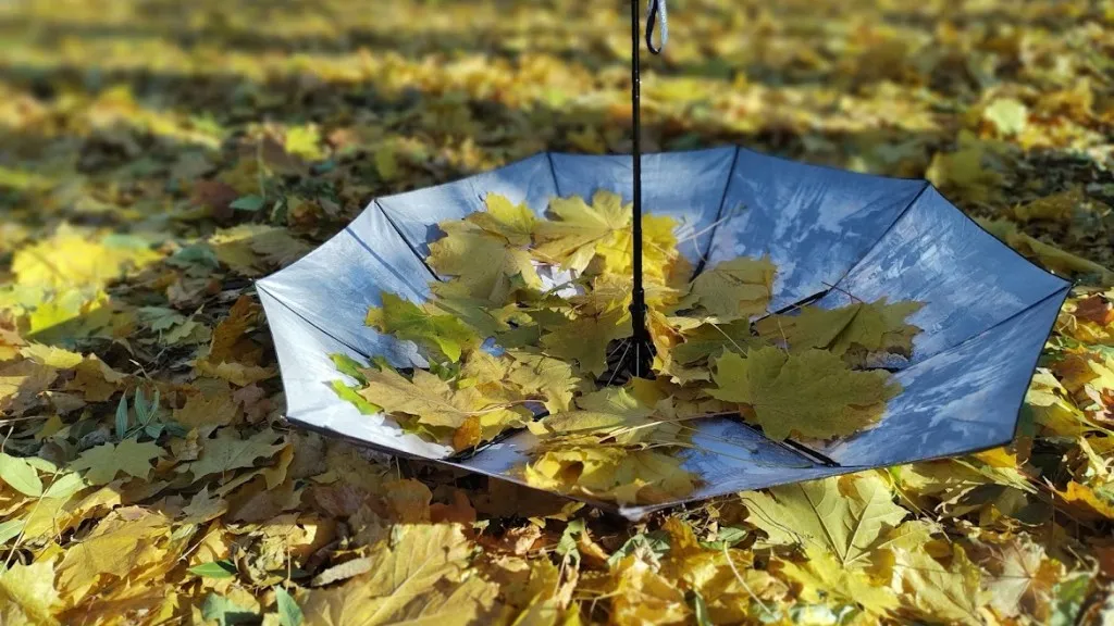 Фото: REGIONS/Алексей Селиверстов