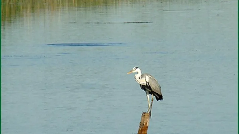 Фото: ПФ «Верховье»