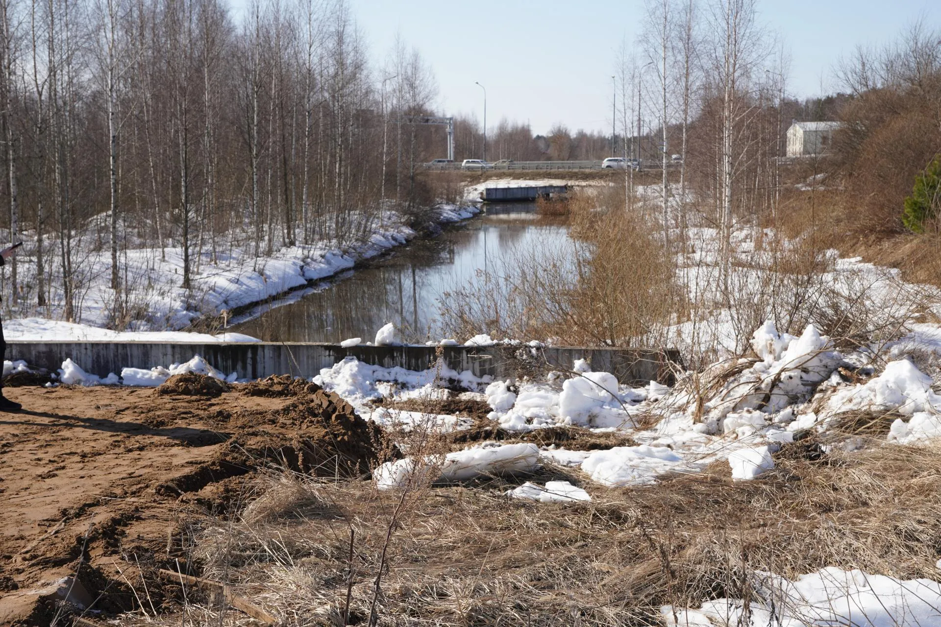 REGIONS/Арина Кузнецова